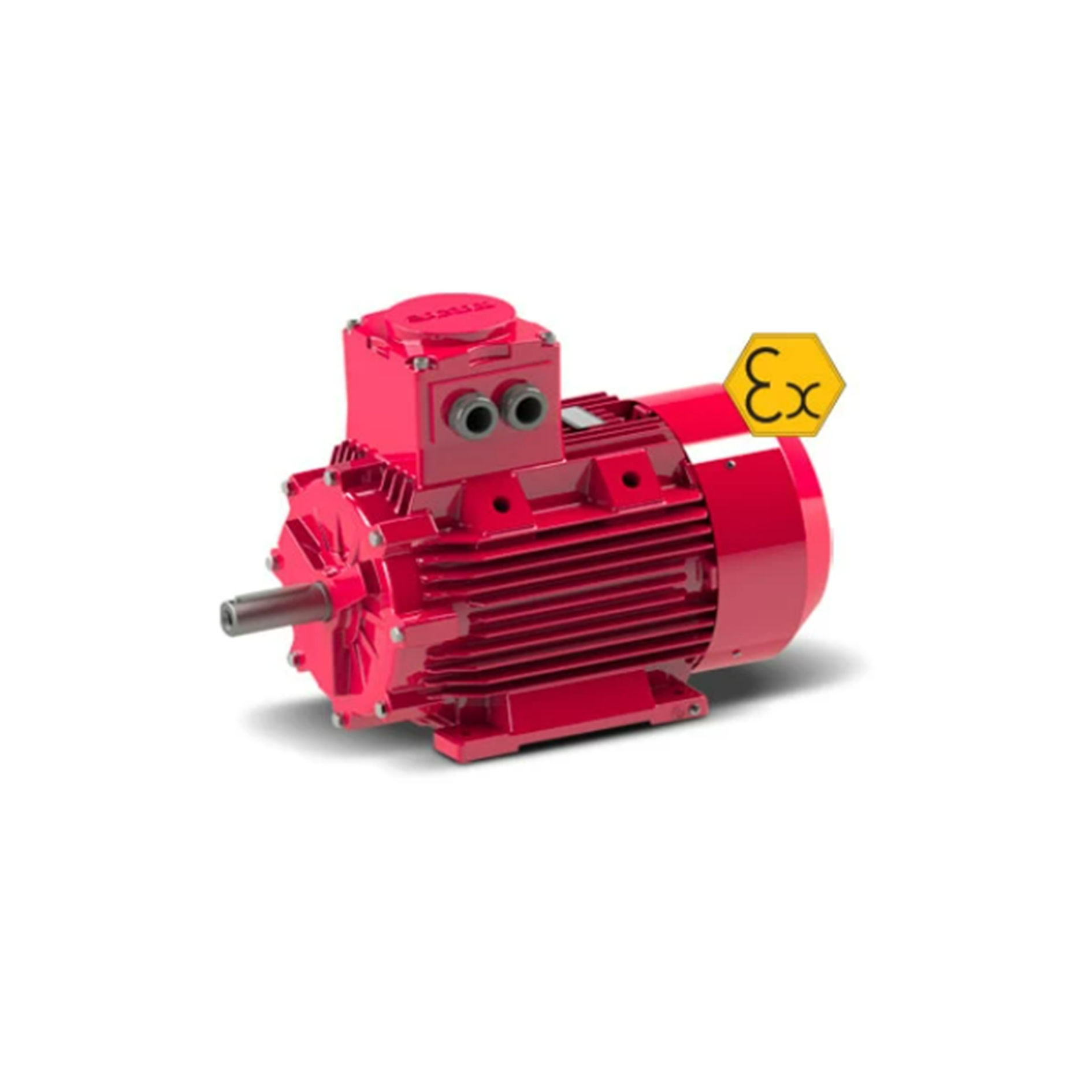 GG3Exd 250 M 2a الکتروموتور ضد انفجار 55کیلووات 3000 دور گاماک